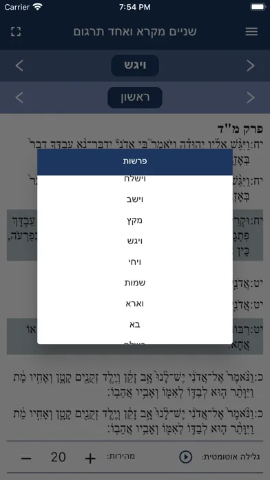 Ảnh chụp màn hình của שניים מקרא ואחד תרגום