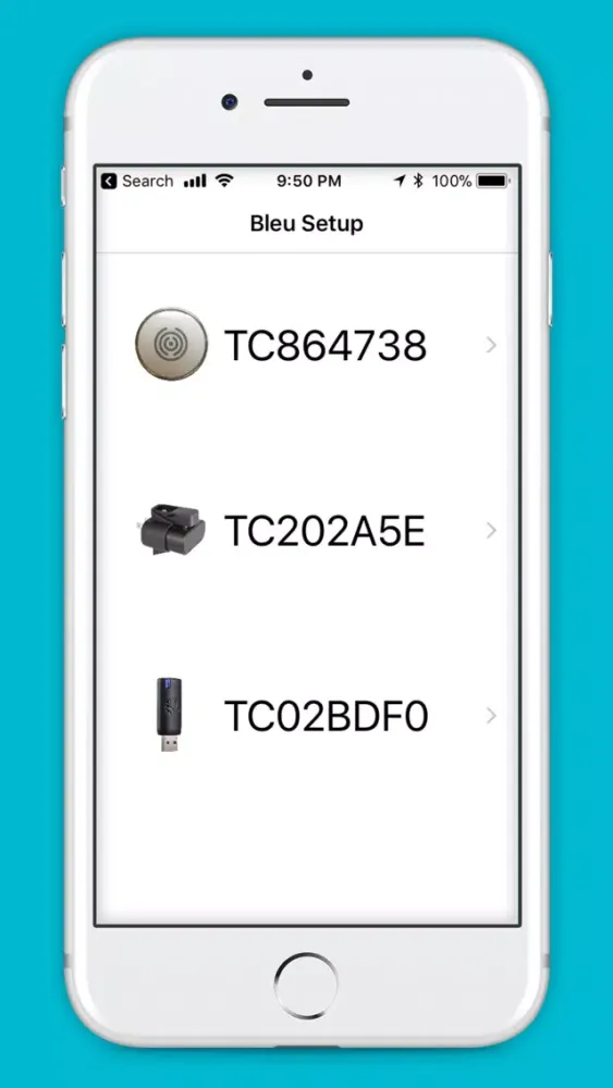 Bleu Setup سکرین شاٹس