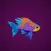 Fish Feeding