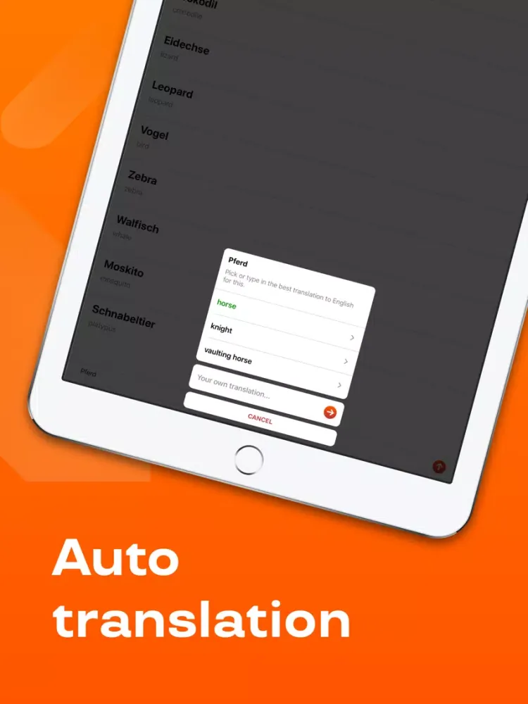 Reji – Vocabulary Builder App iPad  Screenshots
