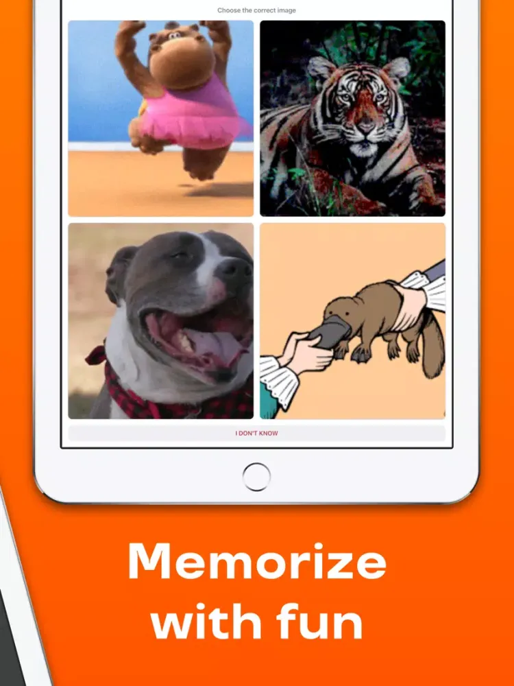 Reji – Vocabulary Builder App iPad  Screenshots