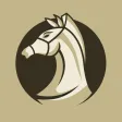 Two Player Chess (2P Chess) Two Player Chess (2P Chess)