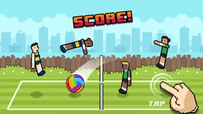 Screenshot di Volley Random