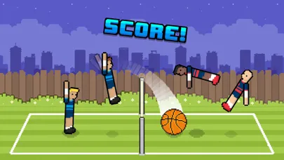 Screenshot di Volley Random
