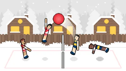 Screenshot di Volley Random