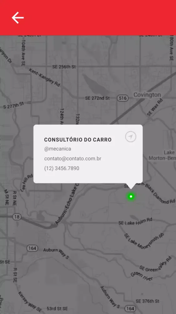 Zrzuty ekranu Consultório do Carro