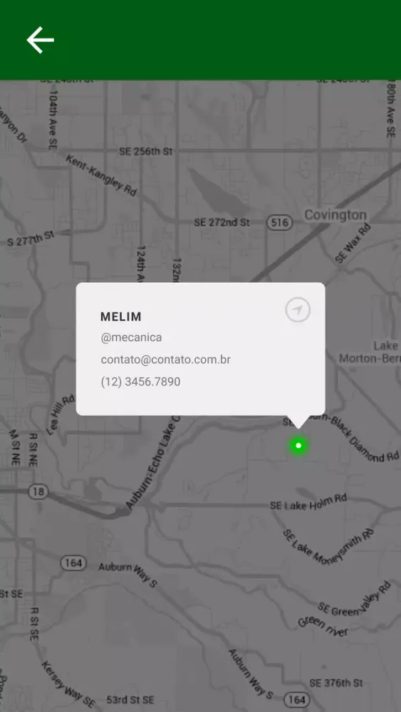 Ảnh chụp màn hình của Melim Centro Automotivo