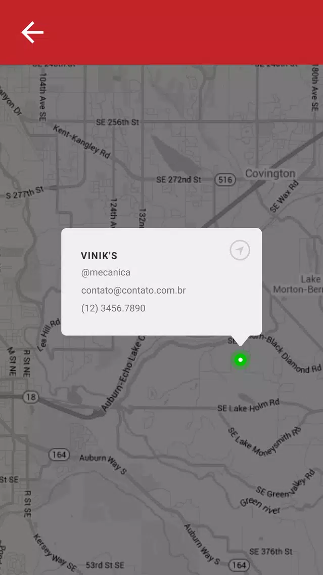 Auto Mecânica Vinik's Screenshots