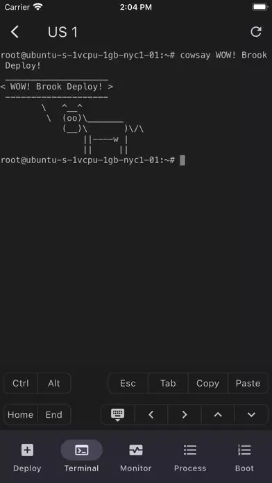 Brook Deploy Screenshots