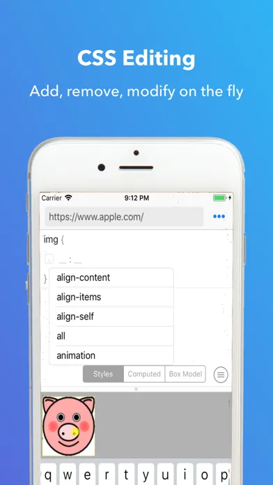 HTML, CSS, JS Snippet Editor スクリーンショット
