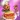 Kitchen Clout