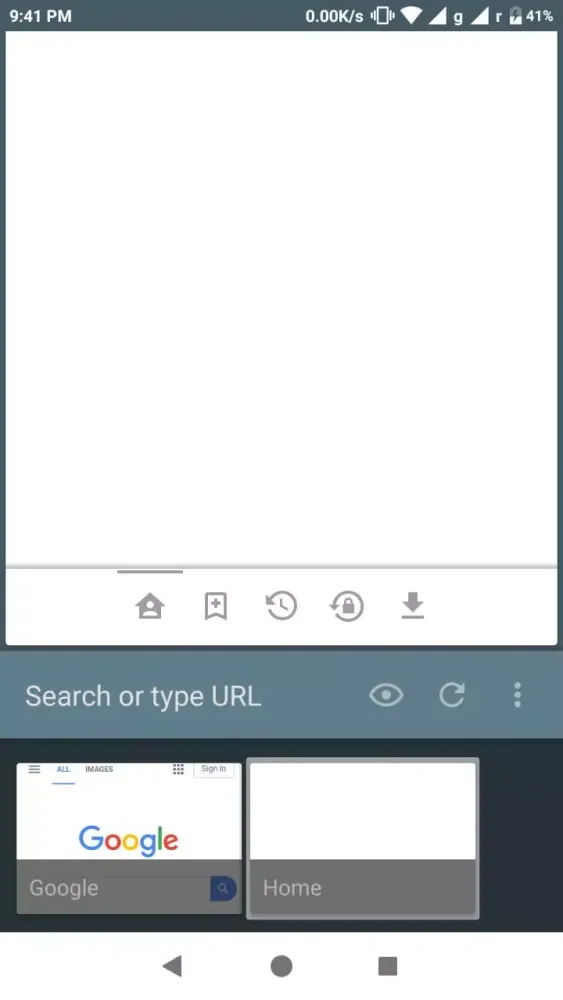 HTML Inspect Element & JS cons Screenshots