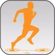 TZ Pedometer