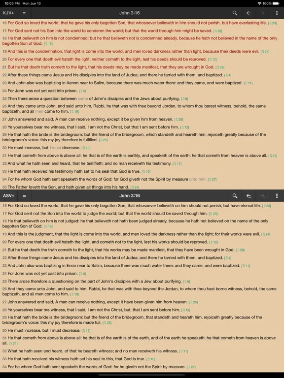 Скриншоты MyBible iPad 