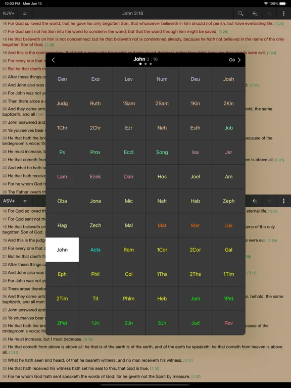 Скриншоты MyBible iPad 