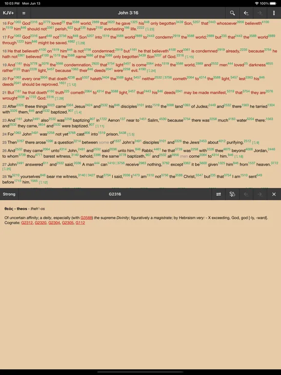 Скриншоты MyBible iPad 