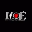 MOLE' Parrucchieri MOLE' Parrucchieri