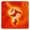 Hat Super Monkey Runner