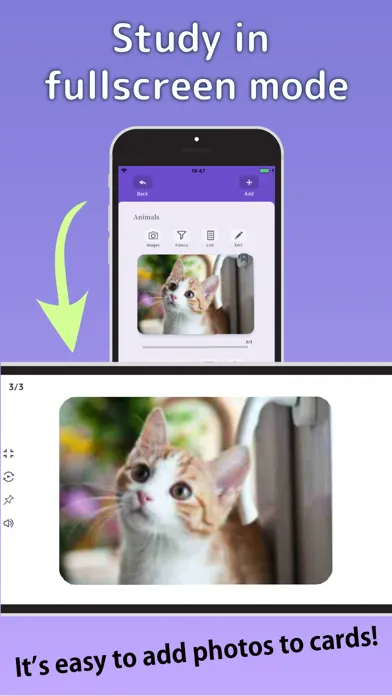 Capturas de tela do Flashcards Maker