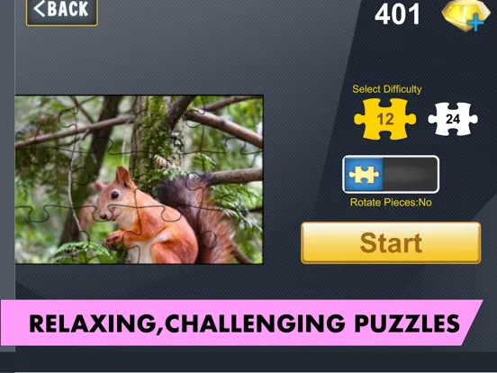 Zrzuty ekranu Fantastic Jigsaws iPad 