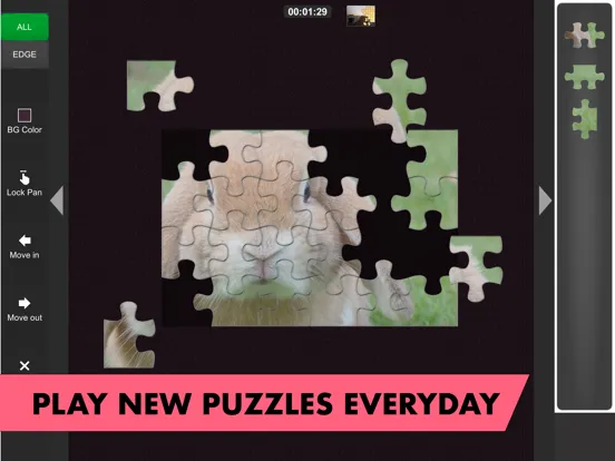 Zrzuty ekranu Fantastic Jigsaws iPad 