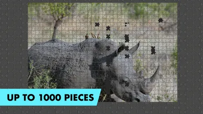 Zrzuty ekranu Fantastic Jigsaws