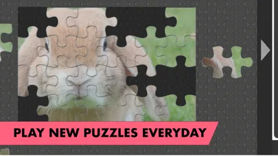 Zrzuty ekranu Fantastic Jigsaws