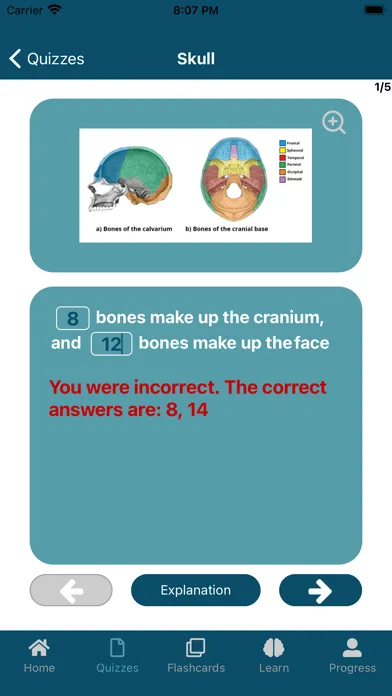 UBC Human Anatomy App應用截圖