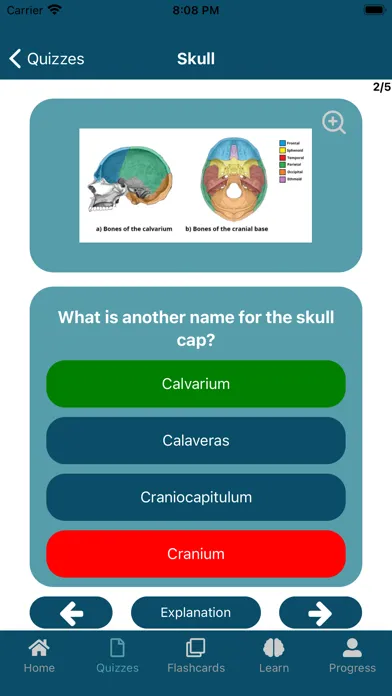 UBC Human Anatomy App應用截圖
