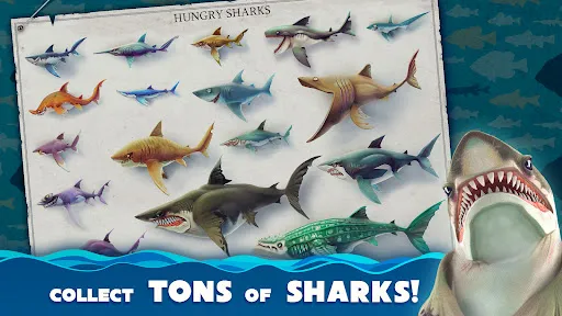 Zrzuty ekranu Hungry Shark World