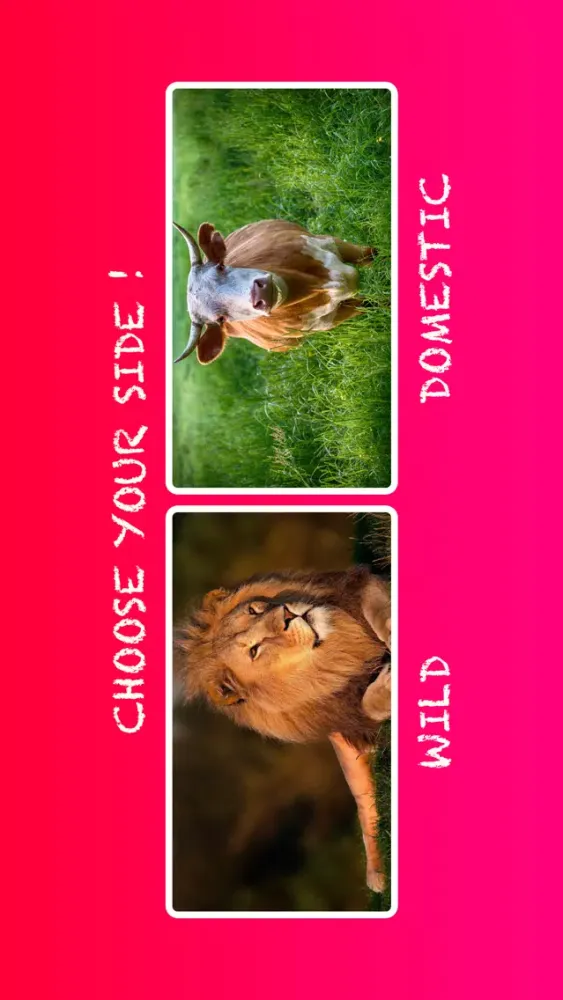 Capturas de tela do AnimalDictionario
