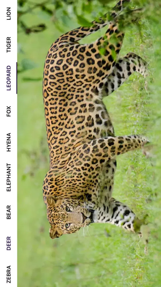 Capturas de tela do AnimalDictionario