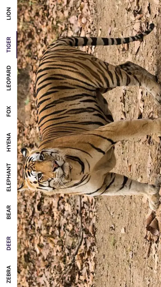Capturas de tela do AnimalDictionario