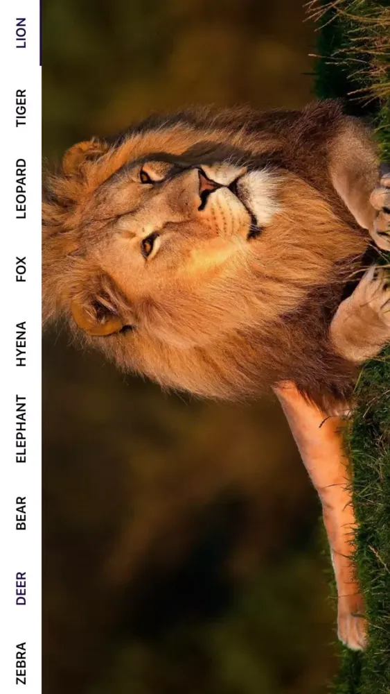 Capturas de tela do AnimalDictionario