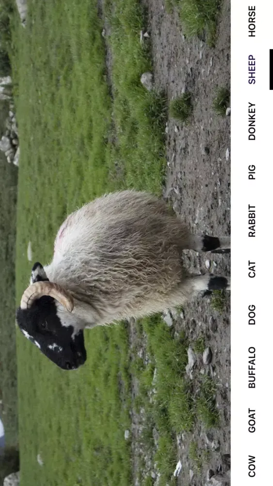 Capturas de tela do AnimalDictionario