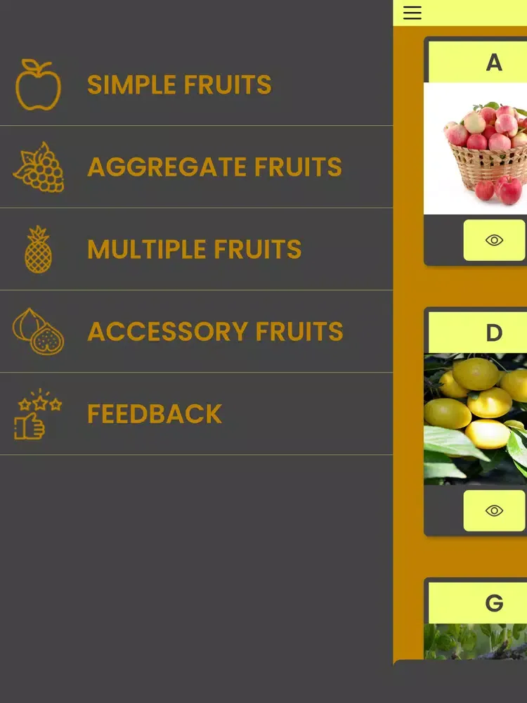 صور F4Fruits iPad 