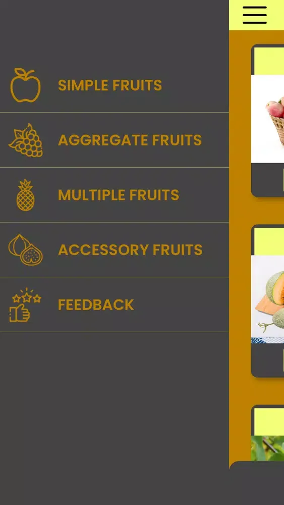 صور F4Fruits