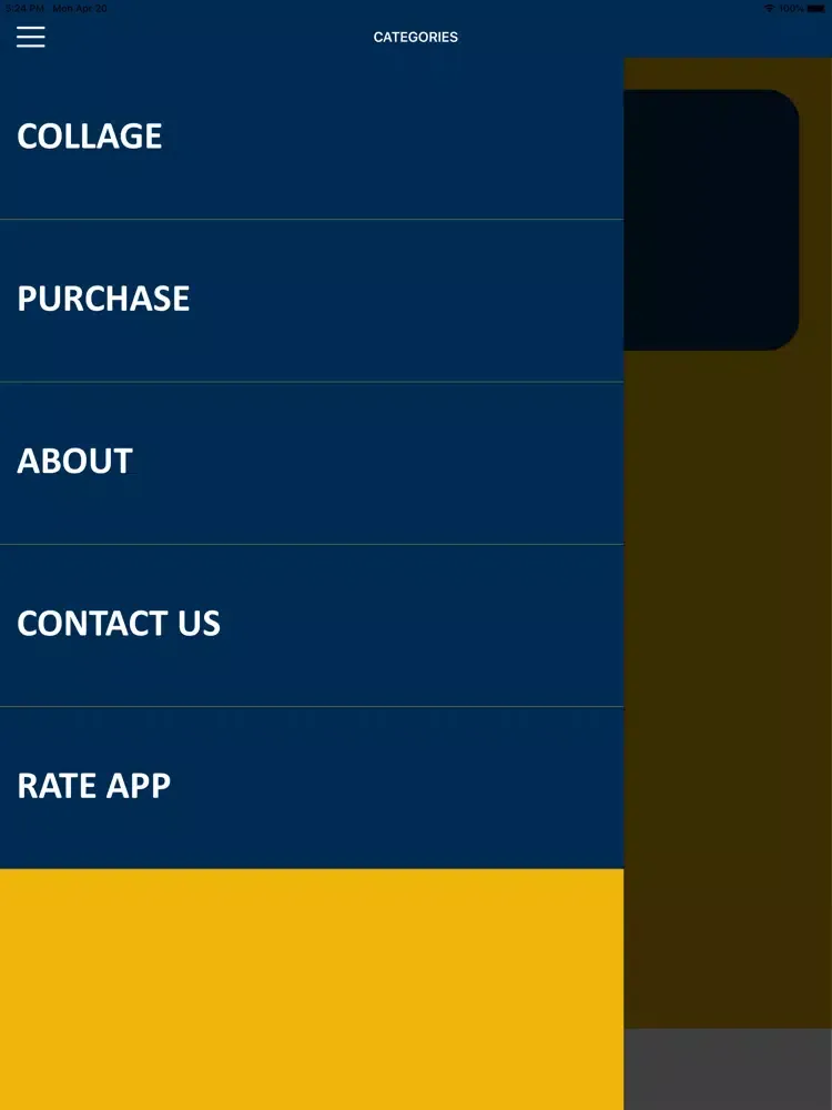 صور Prince Rogers Nelson Wisdom iPad