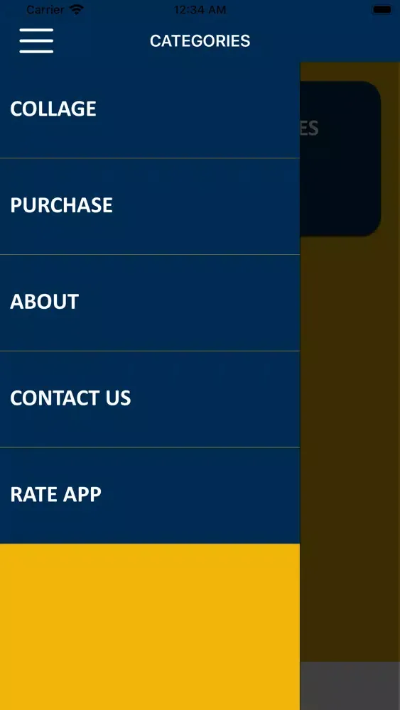 صور Prince Rogers Nelson Wisdom