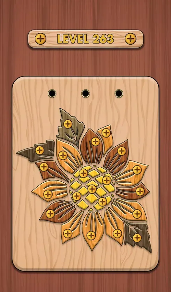 Capturas de pantalla de Nuts & Bolts 3D: Screw Master
