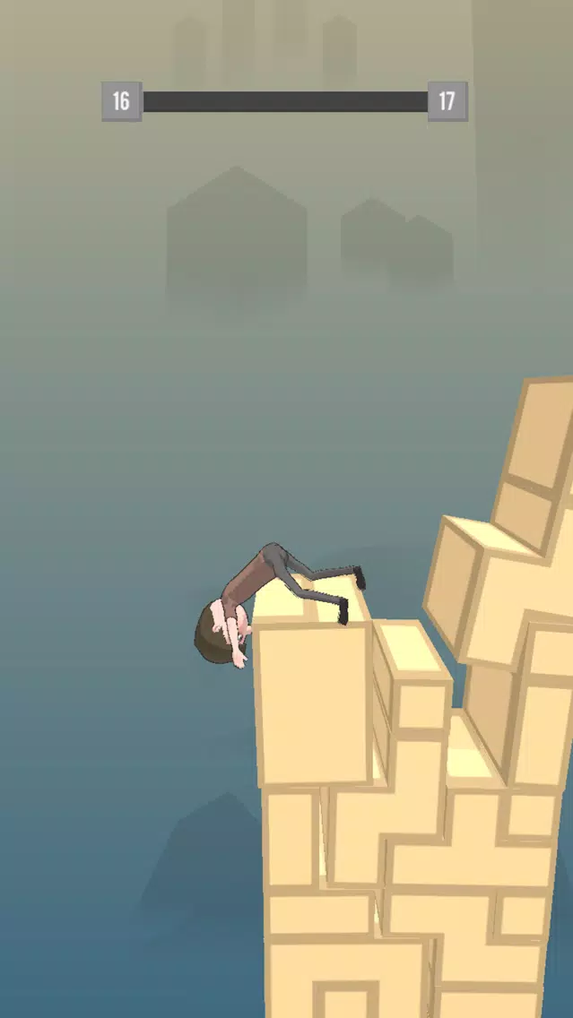 Tower Fall. スクリーンショット