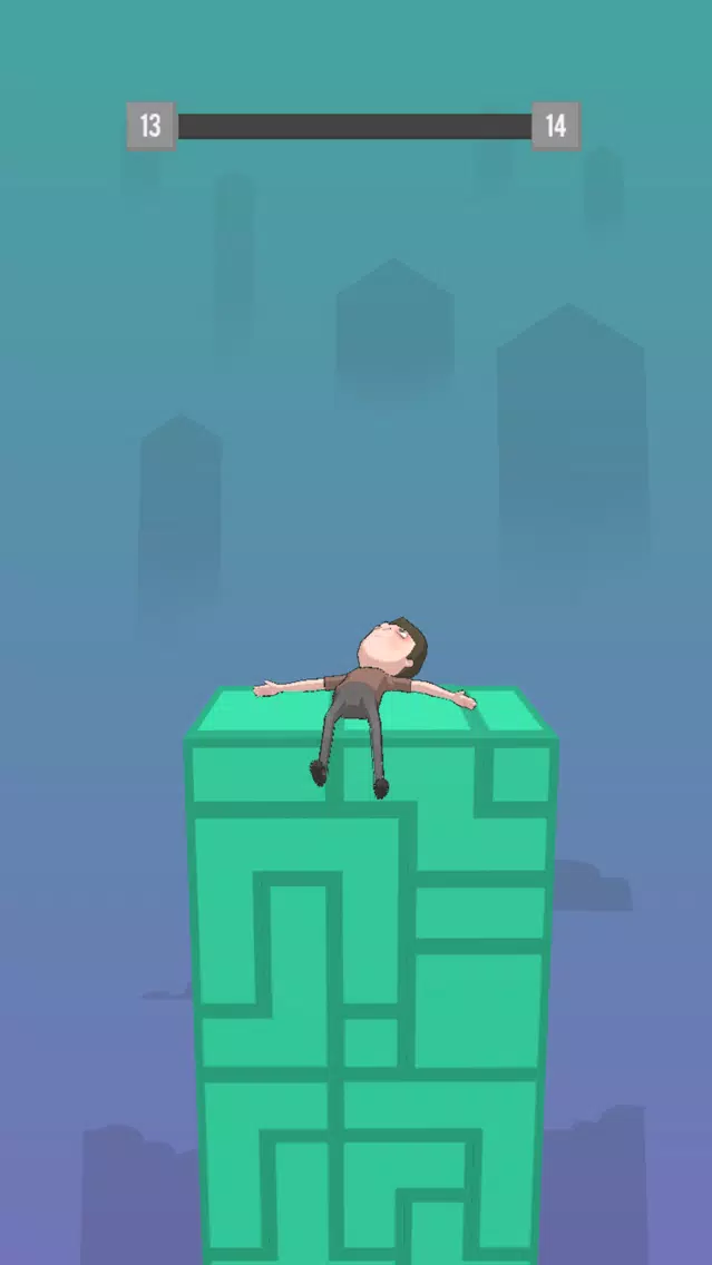 Tower Fall. スクリーンショット