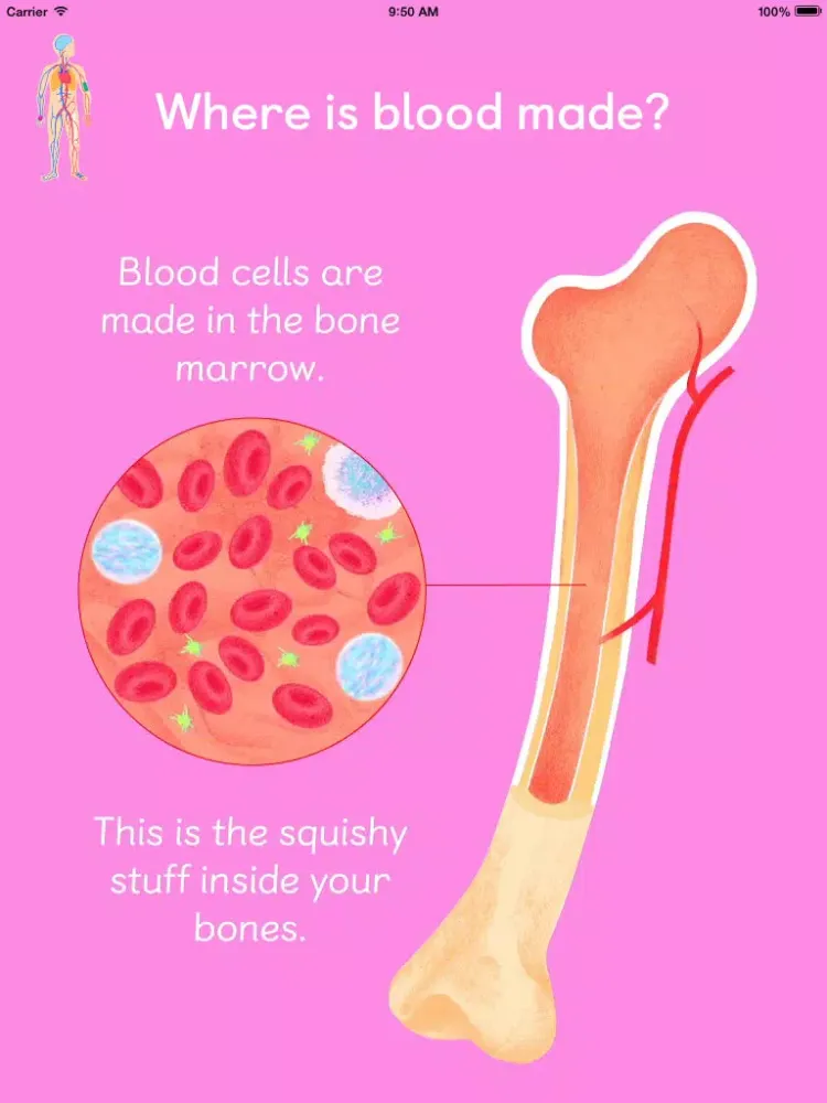 Blood Quest iPad  Screenshots