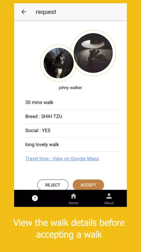 صور Approved Dog Walkers