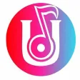UDP STREAM