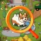 Find It! Locate Hidden Objects