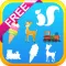 Drag Match - Free