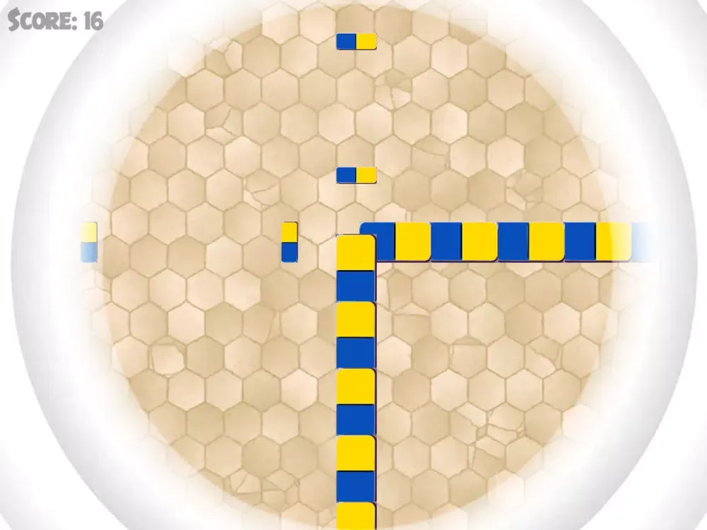 تصاویر Domino Pizza iPad