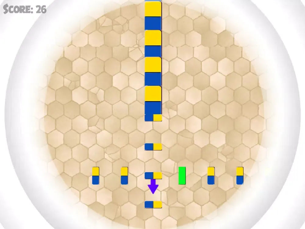 تصاویر Domino Pizza iPad