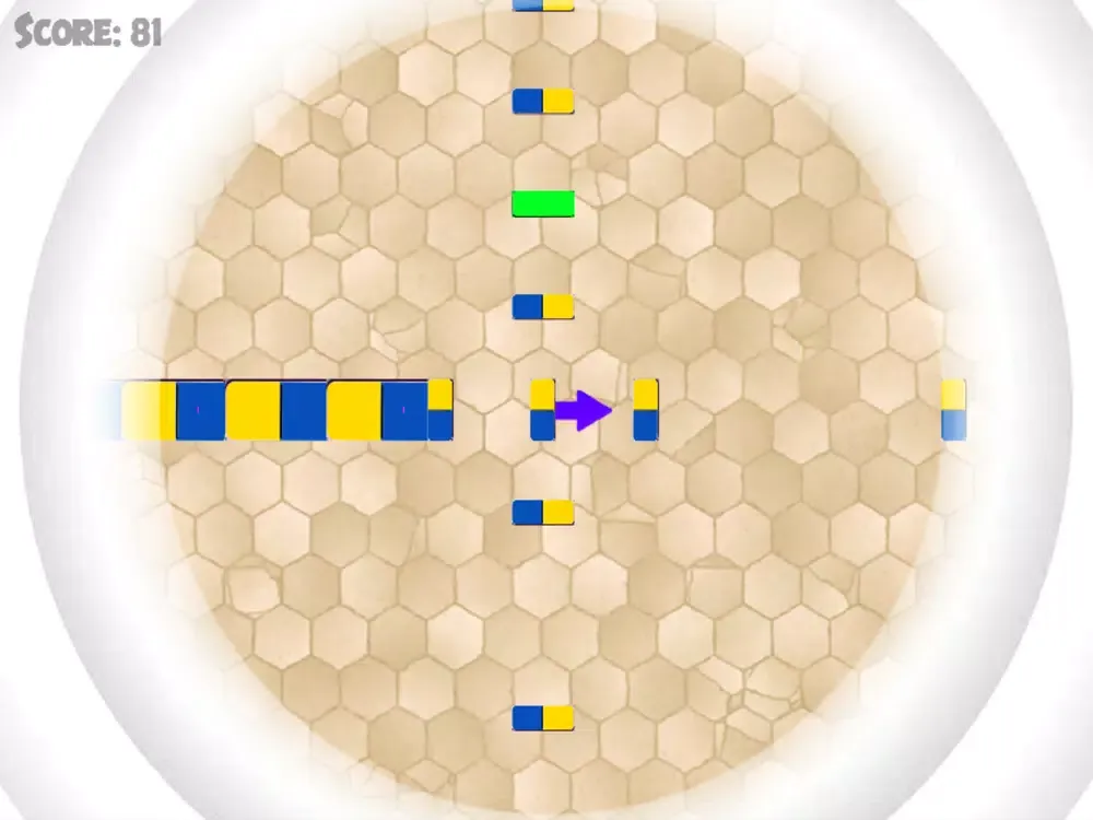 تصاویر Domino Pizza iPad